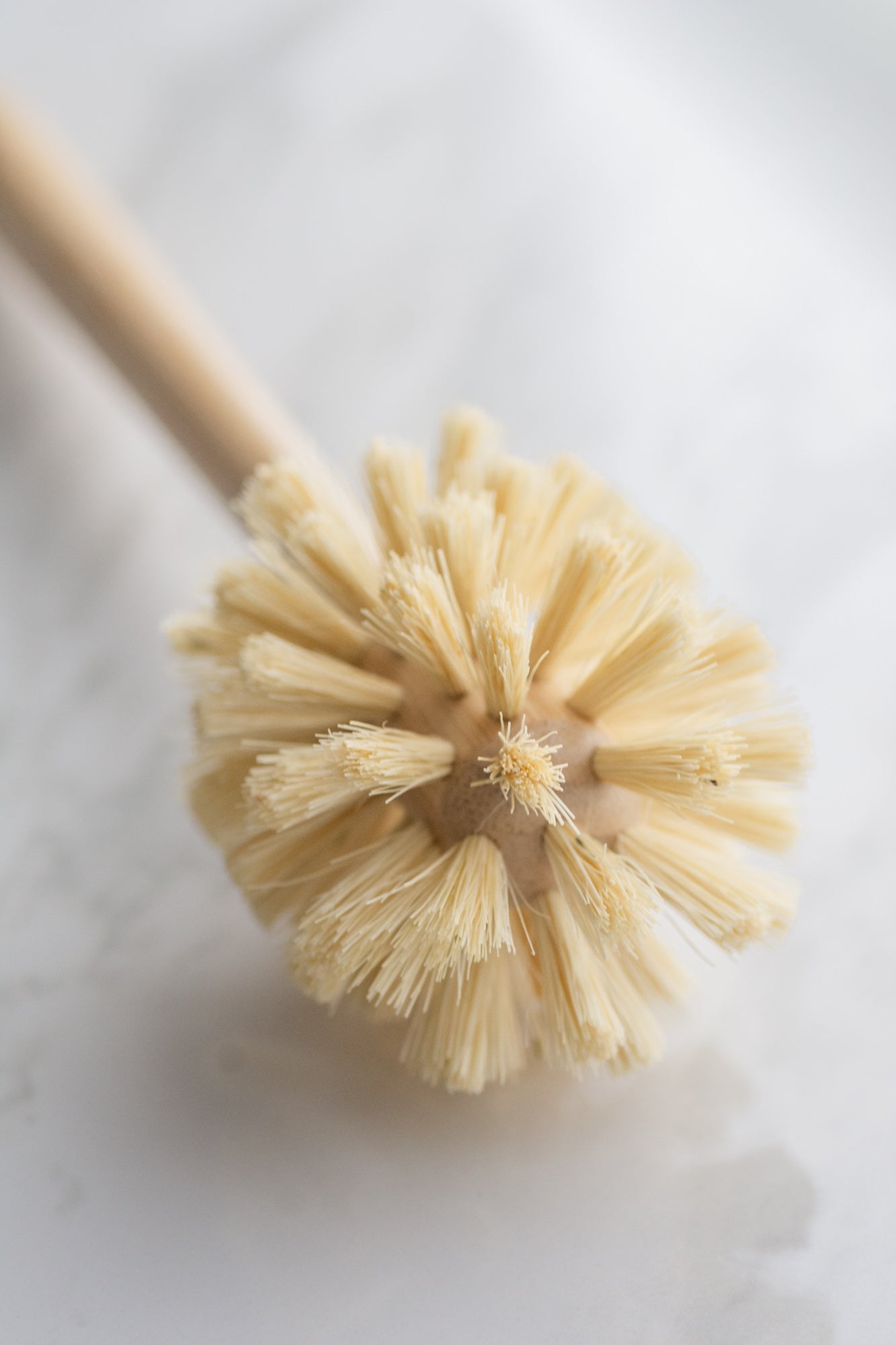 CASA AGAVE® Dish Brush – NO TOX LIFE